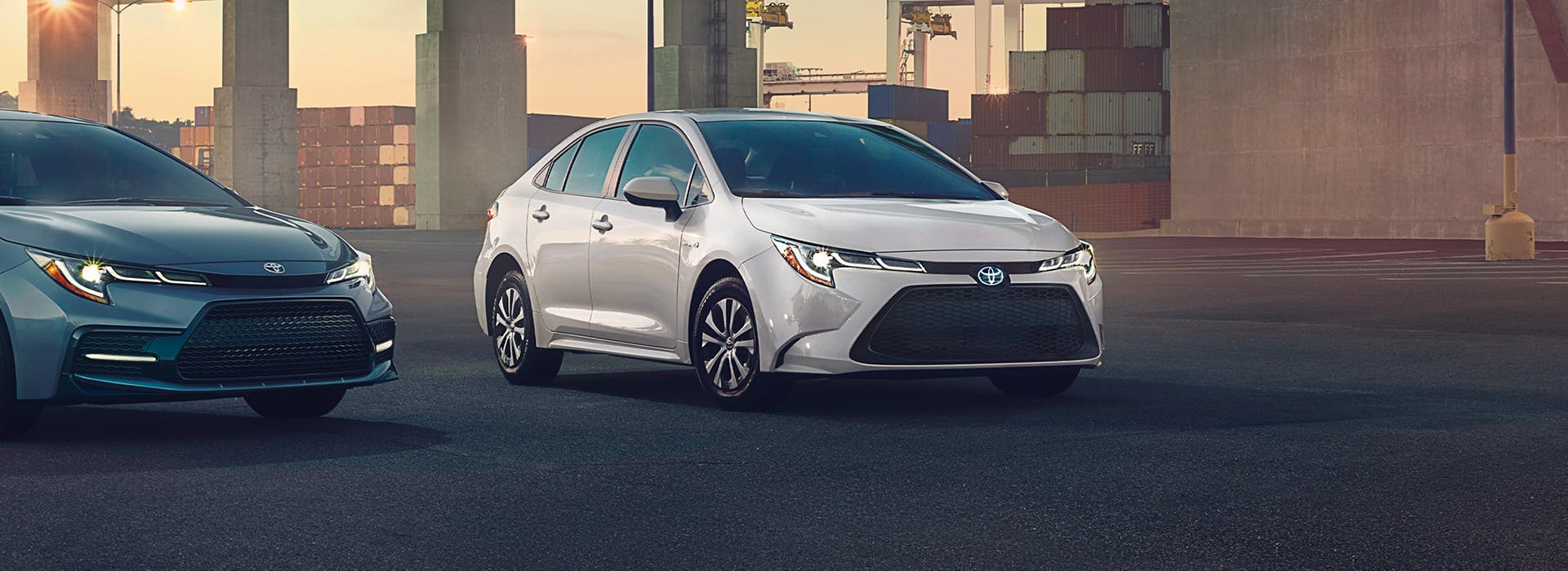 corolla
